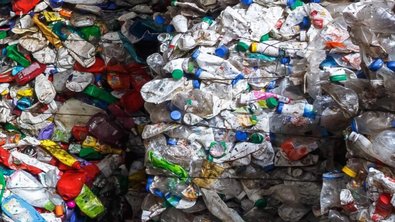 Disegno di legge sui processi di riciclaggio del Pet per imballaggi degli alimenti